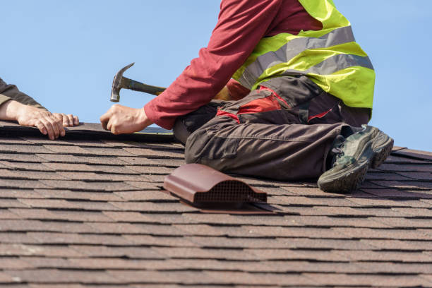 Best Shingle Roofing Installation  in Rutherford, PA