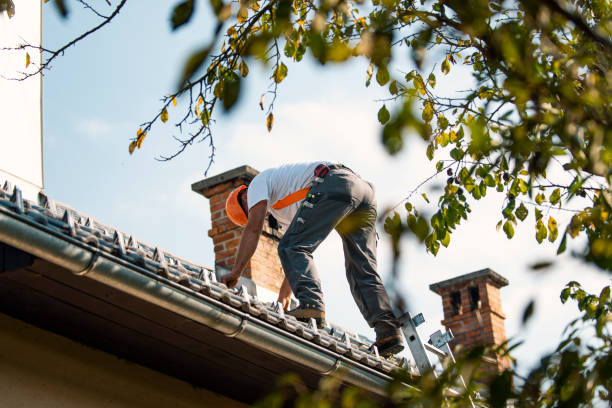Best Roof Gutter Cleaning  in Rutherford, PA