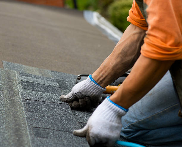 Roof Repair Estimates in Rutherford, PA